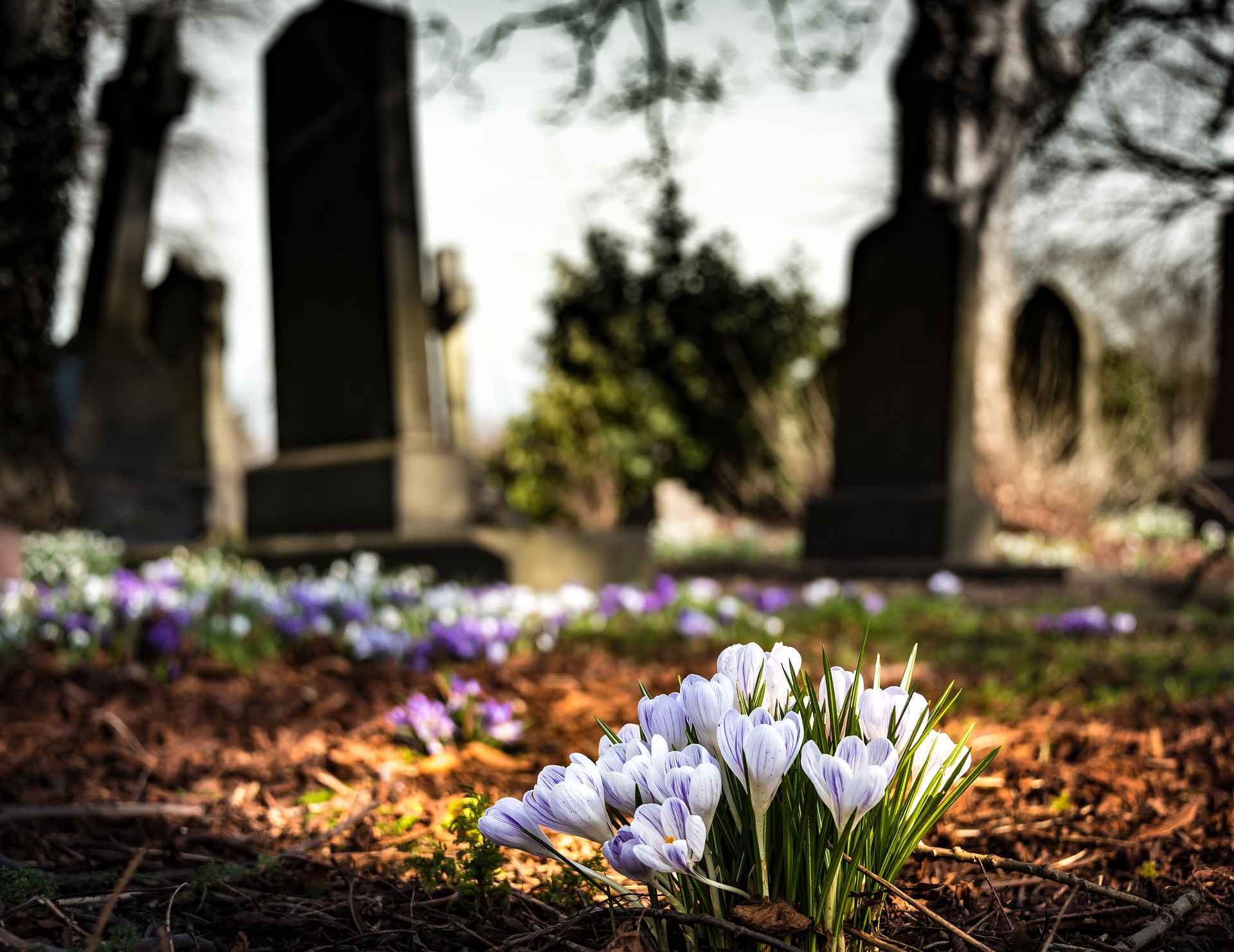 Churchyard Meeting