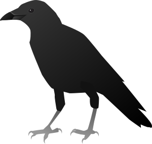 crow writer
