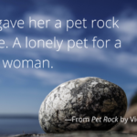 pet rock 'they gave her a pet rock as a joke. A lonely pet for a lonely woman.'