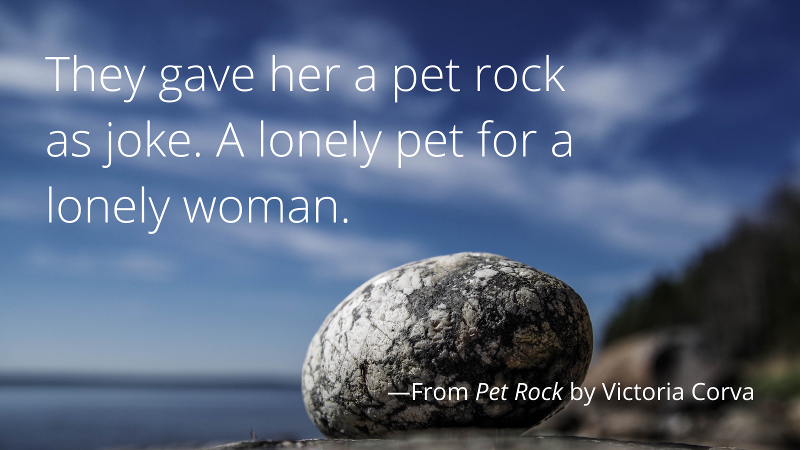 Pet Rock