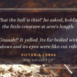 Image of a cave with a snippet from the microfiction. It reads: 'What the hell is this?' he asked, holding the little creature at arm's length. 'Gnaaah!!' It yelled. Its fur boiled with shadows and its eyes were like cut rubies.