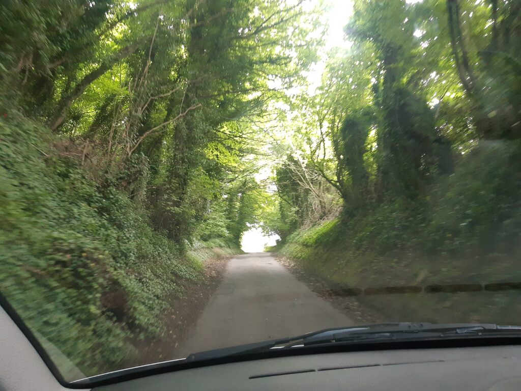 a view through the windscreen of a long road under a tree canopy with very steep sides