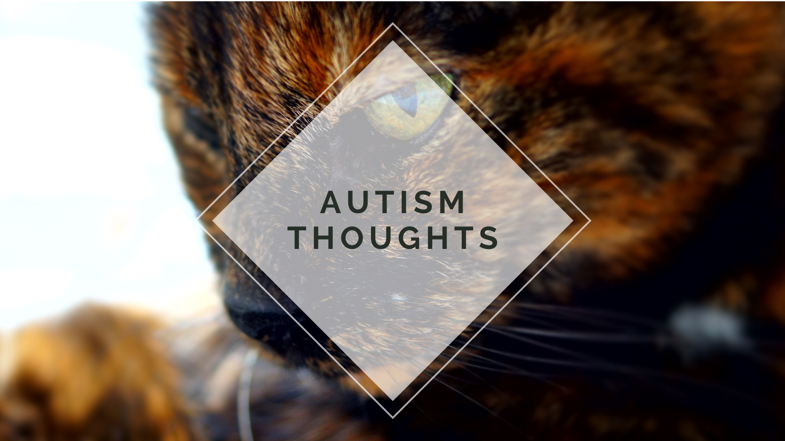 Unfulfilled: Cats, Autism, and Family.